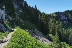 Le sentier suit les falaises (26 juin 2021)