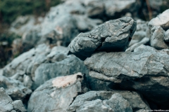 Rochers jonchant le sentier menant à la Pointe de Rovagne (3 novembre 2018)