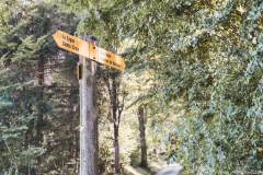 Virer à droite pour quitter la route goudronnée et monter dans la forêt vers les Aiguilles de Baulmes (13 septembre 2020).