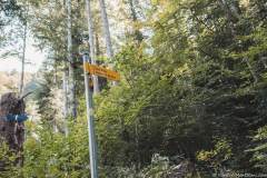 Continuer de suivre la direction des Aiguilles de Baulmes (13 septembre 2020).