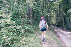 Montée dans la forêt (13 septembre 2020).