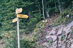 Continuer de suivre la direction des Aiguilles de Baulmes (13 septembre 2020).