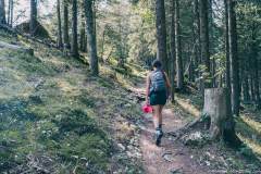 Montée dans la forêt (13 septembre 2020).