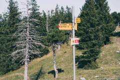 Suivre la direction du Col de l'Aiguillon pour la descente (13 septembre 2020).
