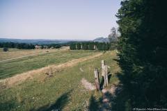 Arrivée sur un plateau où paissent les vaches (13 septembre 2020).