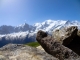 Cairn face au Mont Blanc (8 juin 2014)