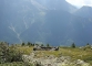 Ruines (4 septembre 2005)