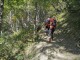 Le sentier continue dans la forêt (21 septembre 2019)