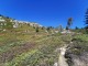 Le sentier serpente entre les buissons (21 septembre 2019)