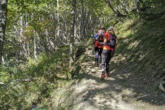 Le sentier continue dans la forêt (21 septembre 2019)