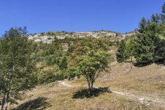 Le sentier continue à découvert (21 septembre 2019)