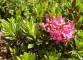 Rhodos (27 juillet 2004)