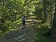 Le sentier progresse en forêt (15 septembre 2019)