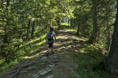 Le sentier progresse en forêt (15 septembre 2019)