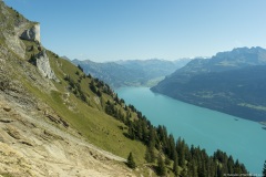 Lac de Brienz depuis le sentier de crête (15 septembre 2019)