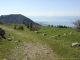 Sentier de descente (1er mai 2006)