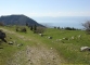 Sentier de descente (1er mai 2006)