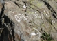 Une marque blanche peinte sur le rocher indique la direction à suivre
