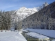 Bois du Bouchet dominé par l'Aiguille à Bochard et les Drus