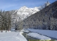 Bois du Bouchet dominé par l'Aiguille à Bochard et les Drus