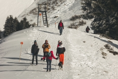 Sentier sur le Col de Joux Plane (2 janvier 2019)