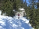 Sentier en forêt (Mars 2008)