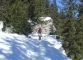 Sentier en forêt (Mars 2008)