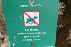 Rappel que les chiens même tenus en laisse ne sont pas admis (12 août 2023)