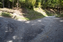 Montée dans la forêt (28 septembre 2017)