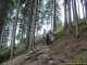 Sentier dans la forêt