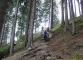 Sentier dans la forêt