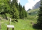 Forêt de Bostan