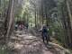Le sentier devient raide dans la forêt (29 mai 2025)