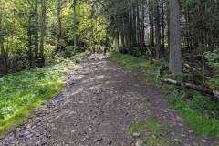 Sentier au départ (29 mai 2025)