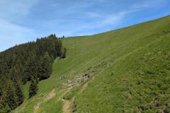 Sentier avant de rejoindre "Sur les prés" (29 mai 2025)