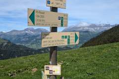 Sur les prés suivre Col de Véry (29 mai 2025)