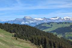 Vue (29 mai 2025)