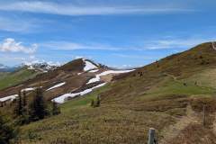 Sentier et vue sur le mont de Vorès (29 mai 2025)