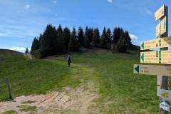 Sentier au col de la limace (29 mai 2025)