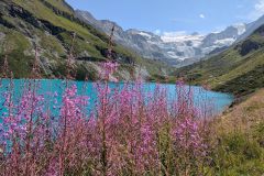 Lac de Moiry (22 août 2024)
