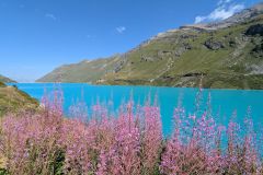Lac de Moiry (22 août 2024)