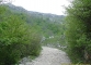 Sentier dans la forêt (5 juin 2006)