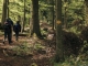 Suivre les losanges jaunes dans la forêt (5 mai 2019)