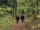 Le sentier progresse tranquillement dans la forêt (5 mai 2019)