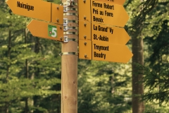 Continuer en direction de la Ferme Robert (5 mai 2019)