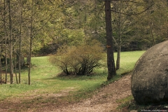 À hauteur du panneau de la réserve, tourner à gauche pour suivre la flèche jaune peinte sur le tronc (5 mai 2019)