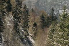 Falaises du Creux-du-Van (5 mai 2019)
