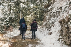 Le sentier s'aplatit franchement (5 mai 2019)