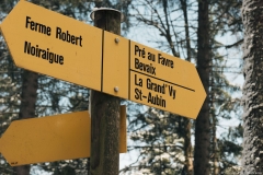 Suivre la direction du Pré-au-Favre (5 mai 2019)