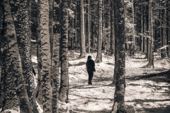 Le sentier continue dans la forêt (5 mai 2019)